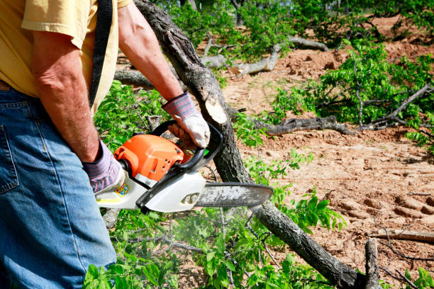 Best Lawn Drainage Solutions  in Lincoln Beach, OR